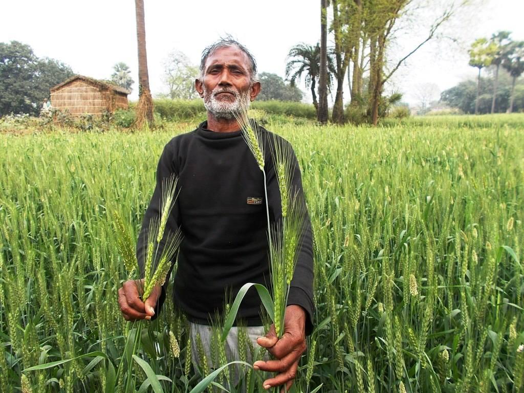 Farmer holding crop in the field